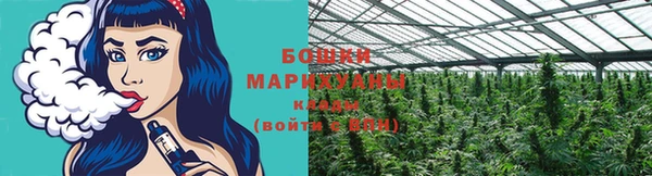 молекула духа Лиски